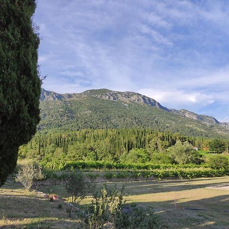 Country House Uros In Nature With Pool Lovorno Exteriör bild