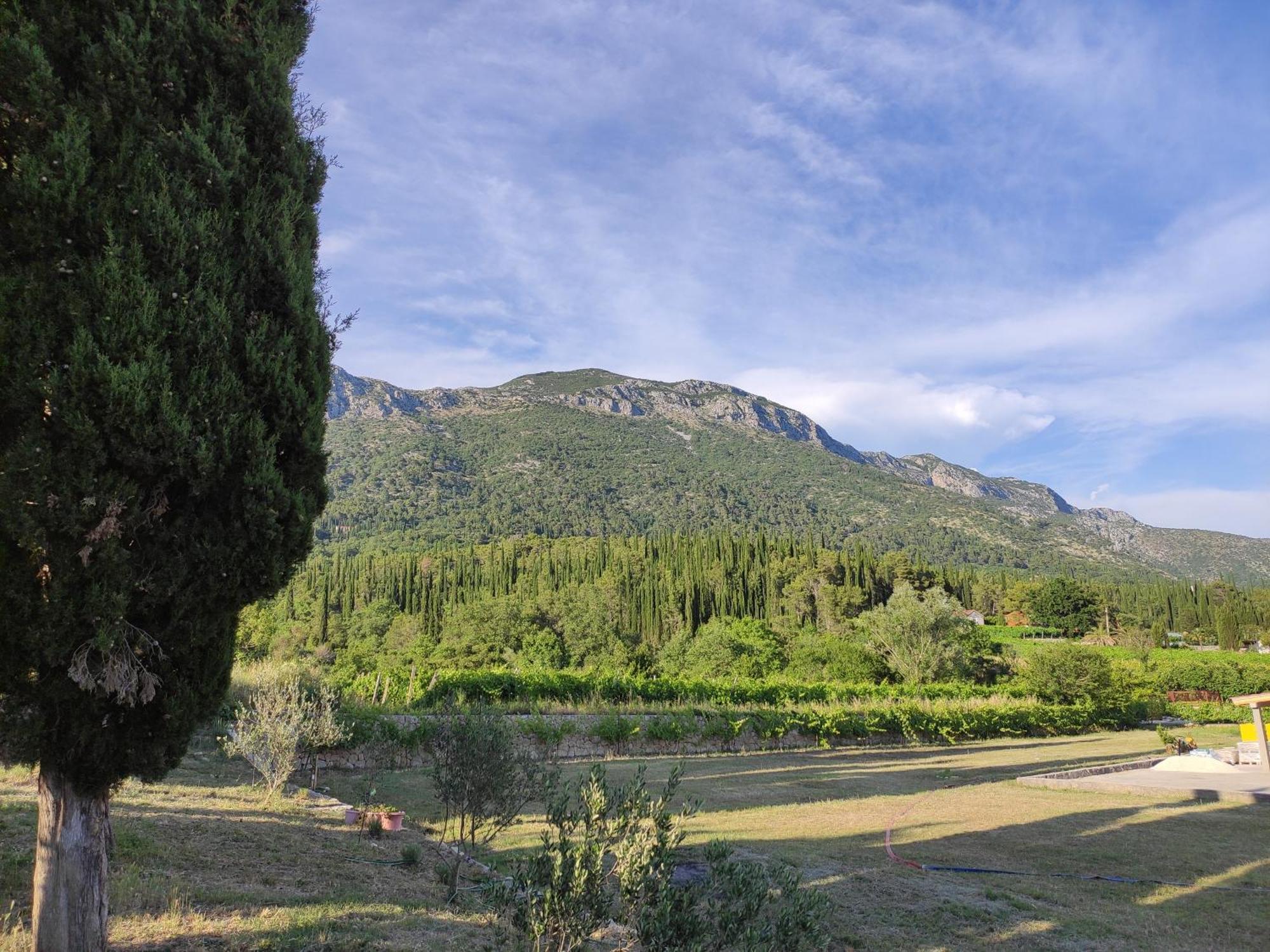 Country House Uros In Nature With Pool Lovorno Exteriör bild