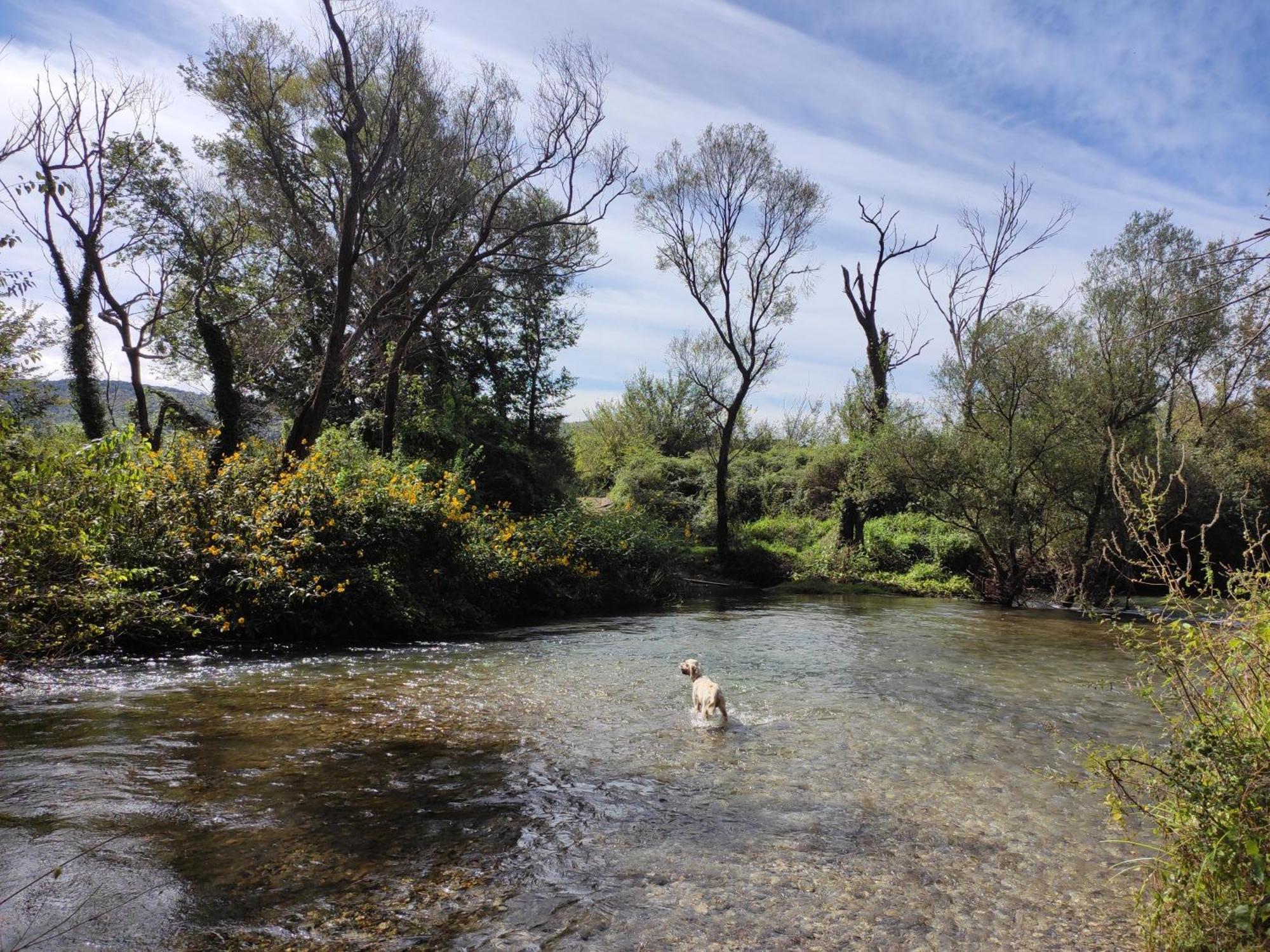 Country House Uros In Nature With Pool Lovorno Exteriör bild